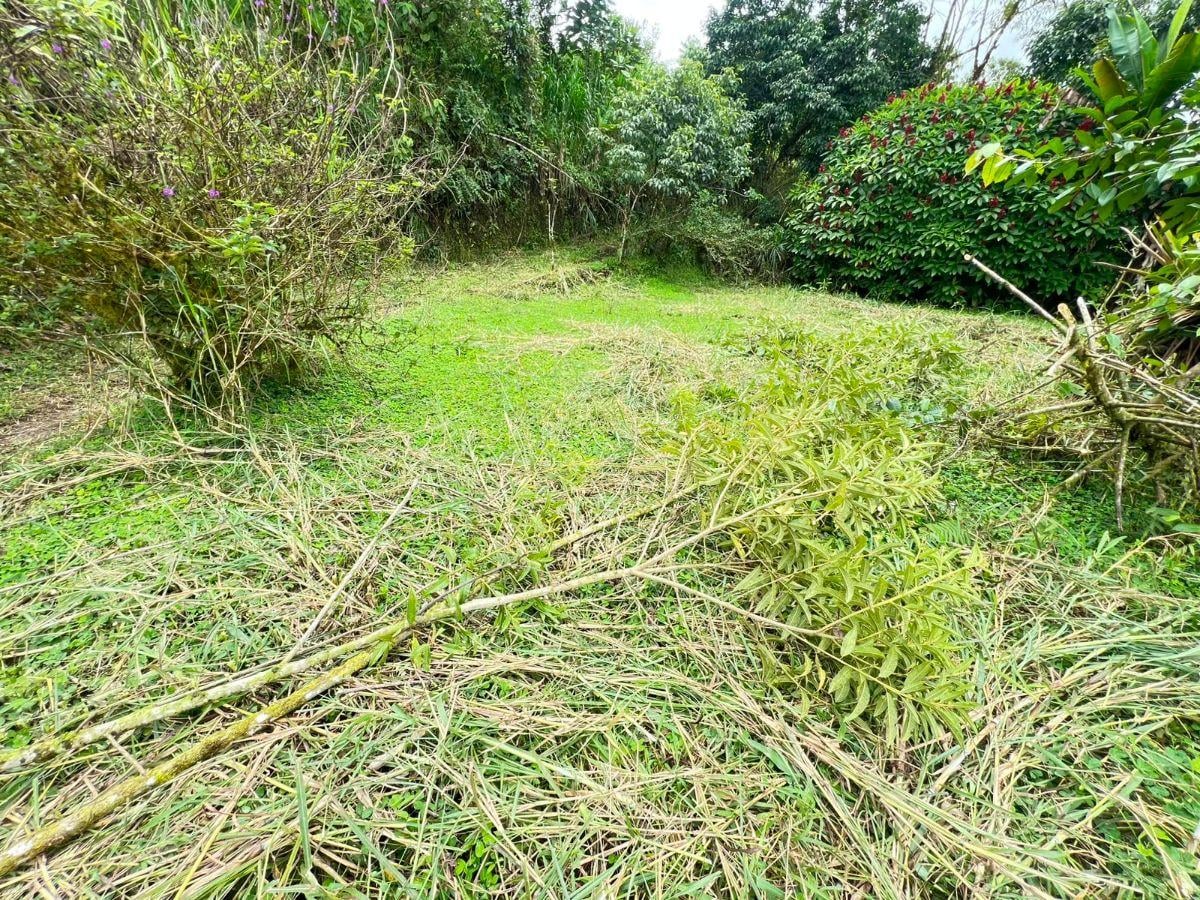 ️ For Sale – Excellent Land in Mindo - Ecuador — imagen 2