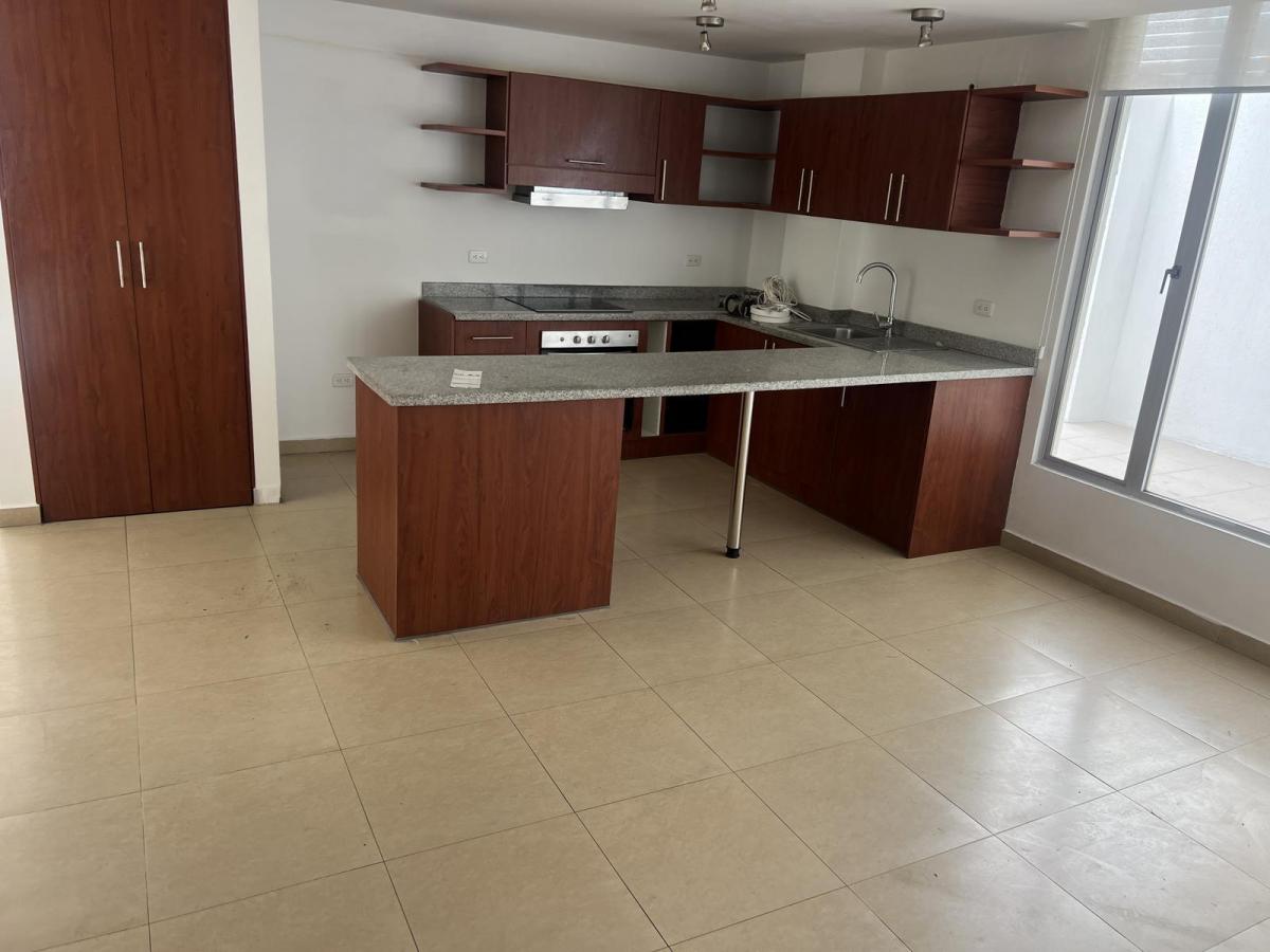 Alquiler Departamento Sector Colegio Alemán — imagen 10