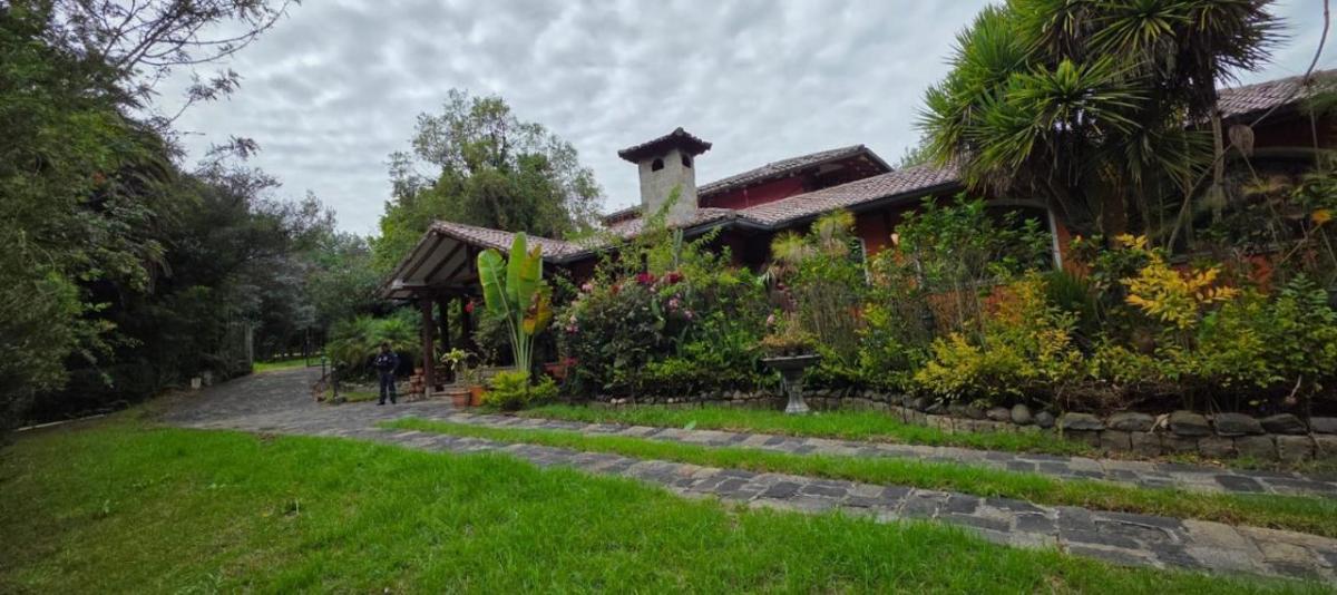 Terreno en Venta Puembo / Sector Chiche Obraje — imagen 8