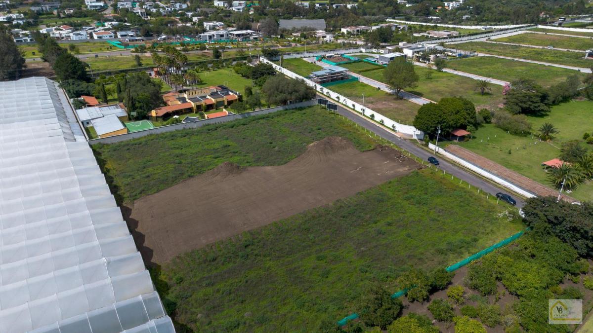 Terreno en Venta Sector Arrayanes Puembo — imagen 6