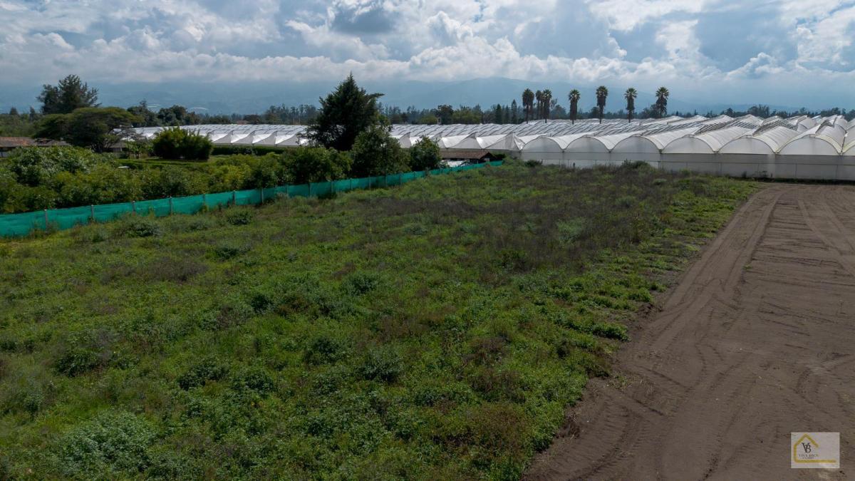 Terreno en Venta Sector Arrayanes Puembo — imagen 5