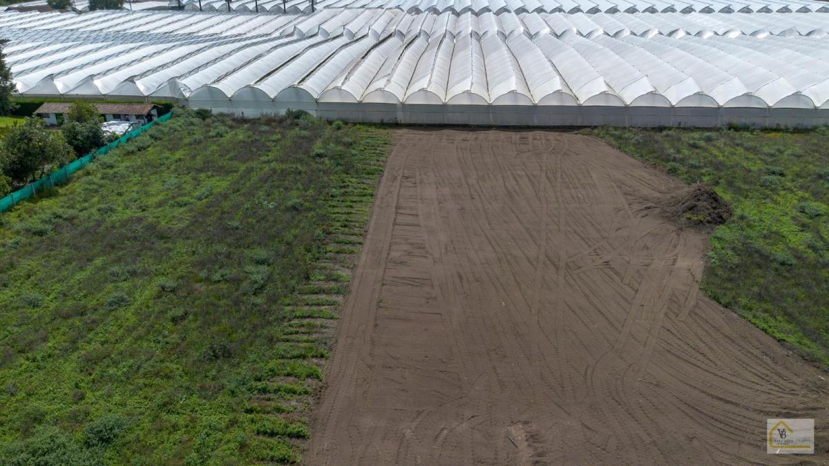 Terreno en Venta Sector Arrayanes Puembo — imagen 4