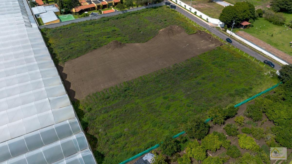 Terreno en Venta Sector Arrayanes Puembo — imagen 3