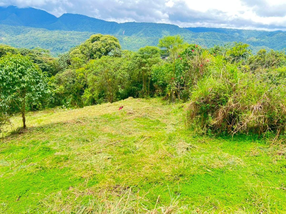 En Venta – Excelente Terreno en Mindo — imagen 6