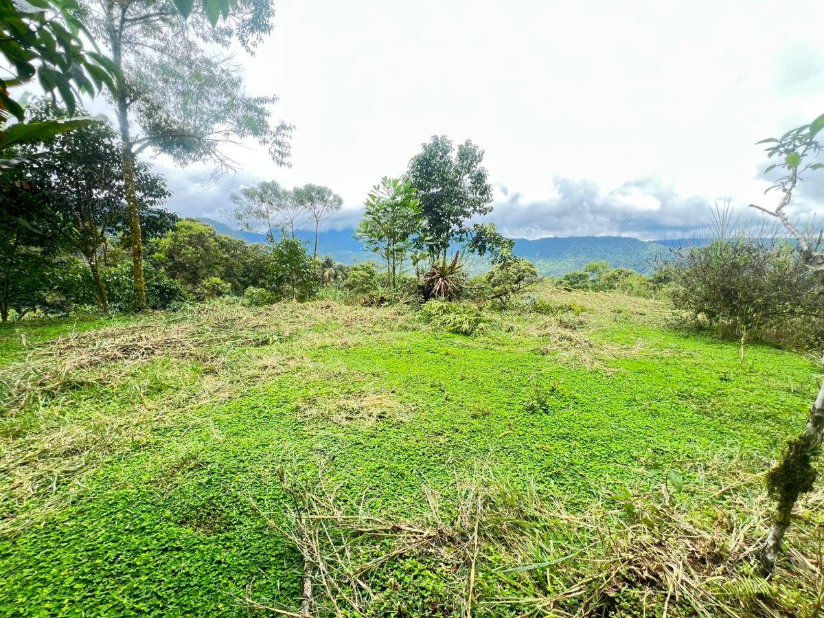 En Venta – Excelente Terreno en Mindo — imagen 5