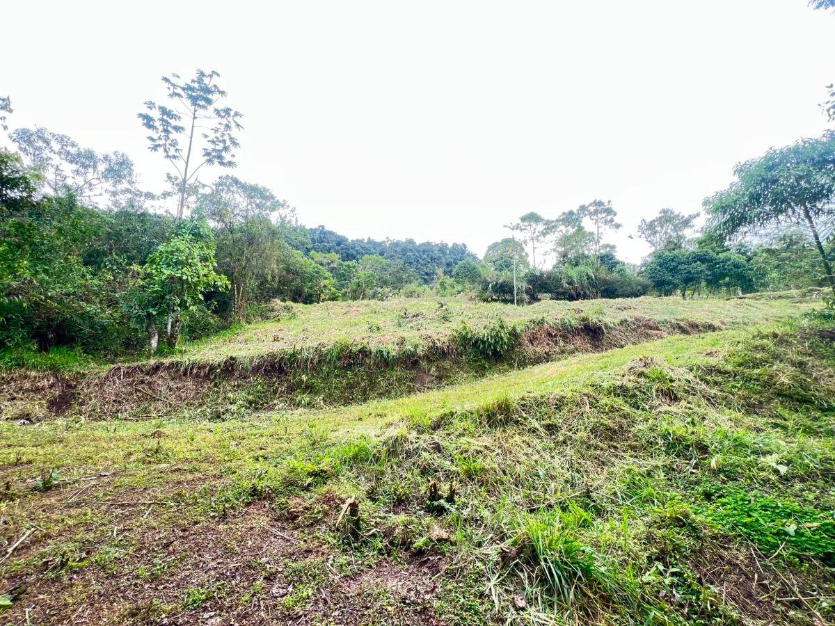 En Venta – Excelente Terreno en Mindo — imagen 4