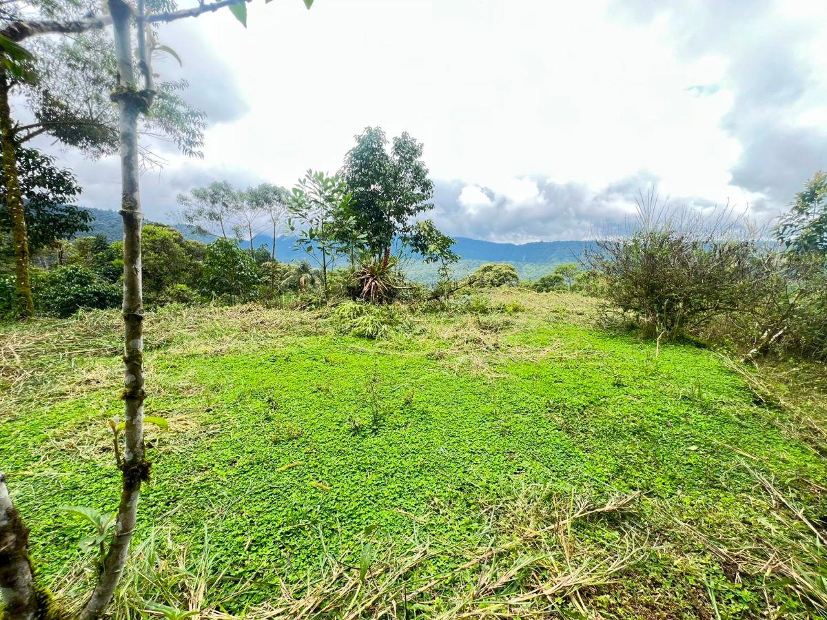 En Venta – Excelente Terreno en Mindo — imagen 3