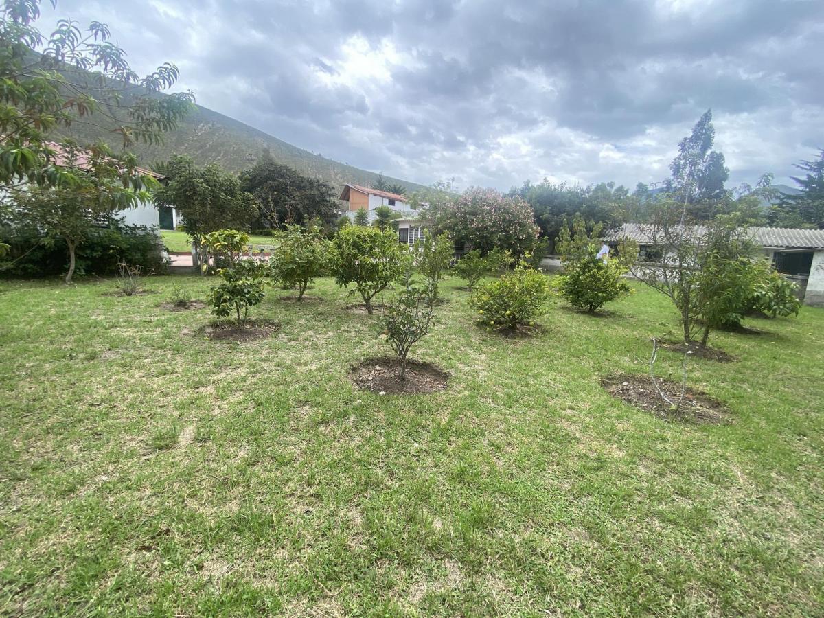 Venta Terreno 1490 m², Dentro de Urbanización, Sector San Antonio de Pichincha — imagen 8