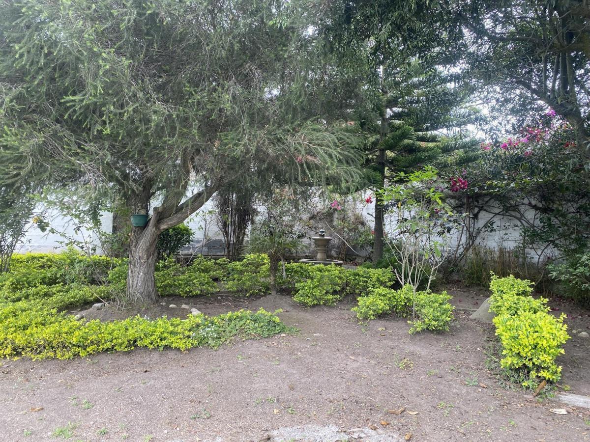 Venta Terreno 1490 m², Dentro de Urbanización, Sector San Antonio de Pichincha — imagen 4
