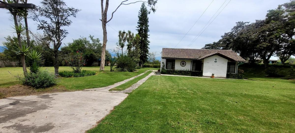 Terreno en Venta Sector Colegios en Puembo — imagen 7