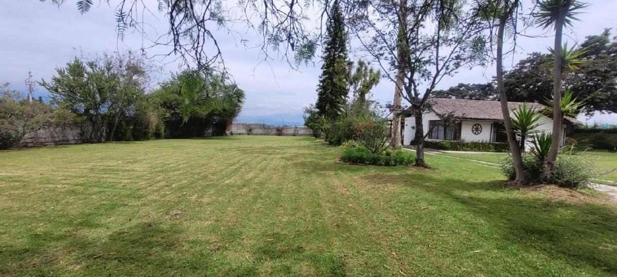 Terreno en Venta Sector Colegios en Puembo — imagen 6