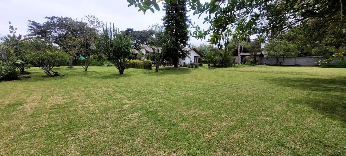 Terreno en Venta Sector Colegios en Puembo — imagen 5