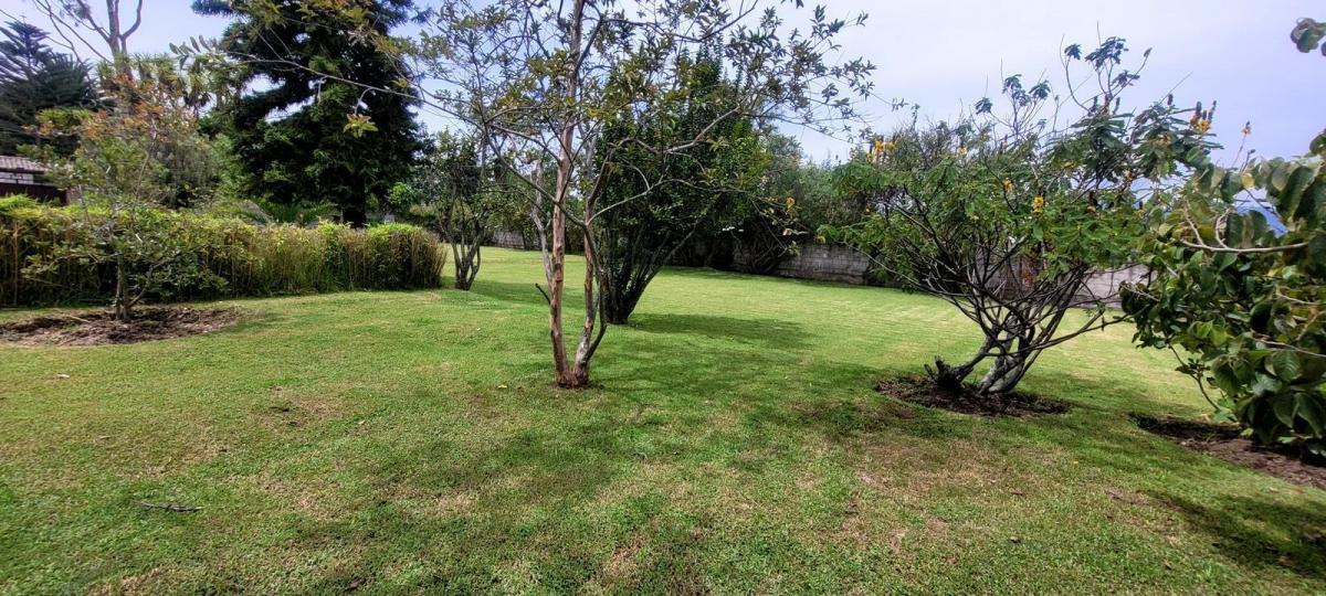 Terreno en Venta Sector Colegios en Puembo — imagen 4