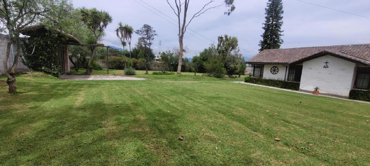 Terreno en Venta Sector Colegios en Puembo — imagen 3