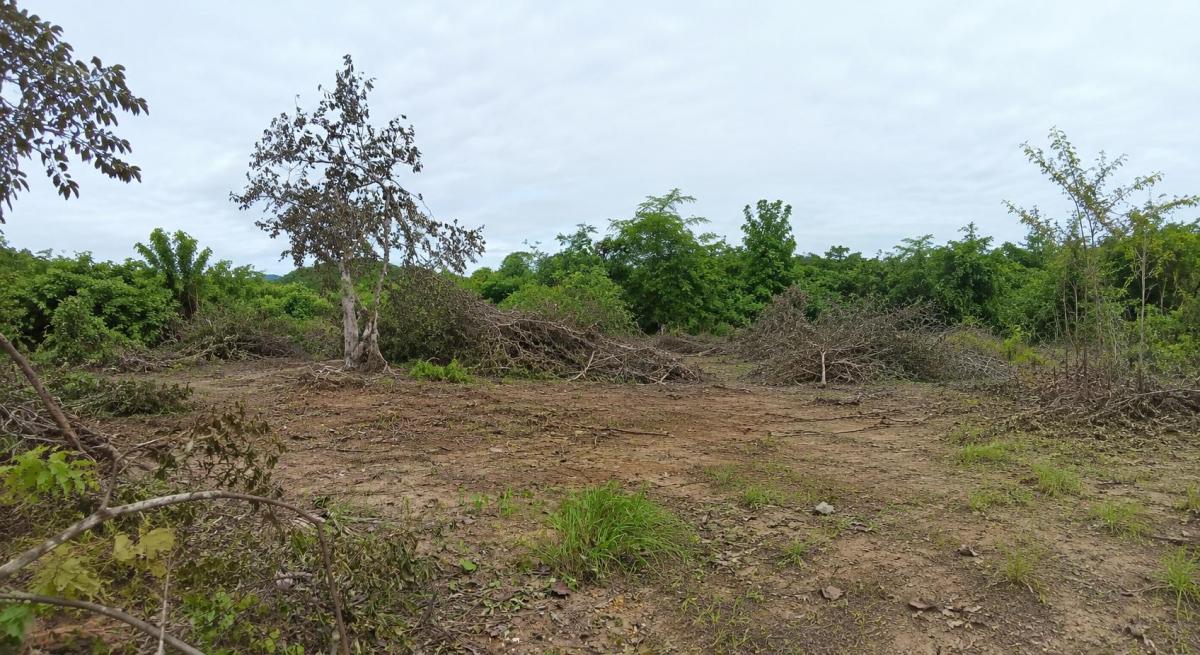 Terreno en Venta 533,70 m² – Terrazas del Mar, General Villamil, Junto Al Ocean Club, Guayas — imagen 5