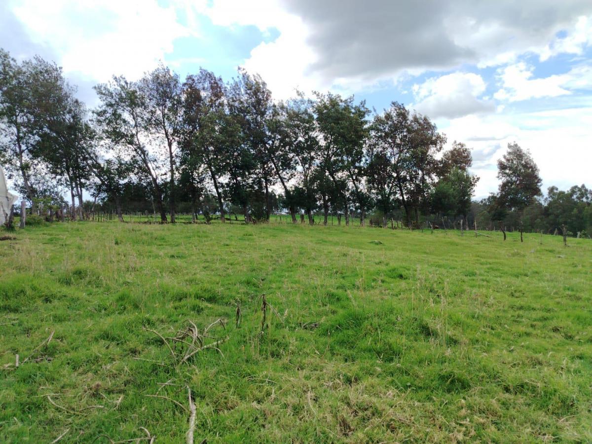 Terreno en Venta - Pintag — imagen 10