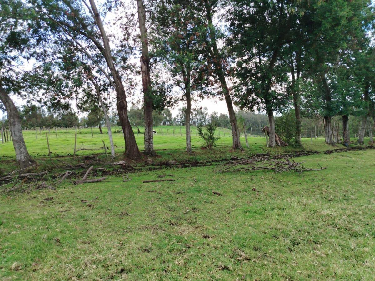 Terreno en Venta - Pintag — imagen 6