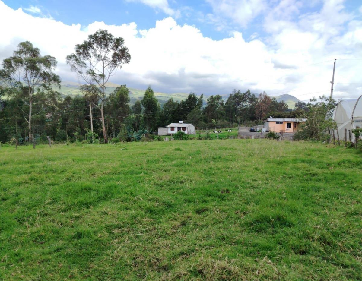 Terreno en Venta - Pintag — imagen 5