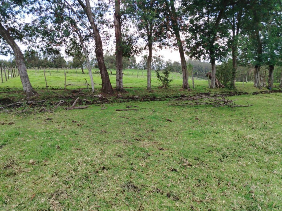 Terreno en Venta - Pintag — imagen 4