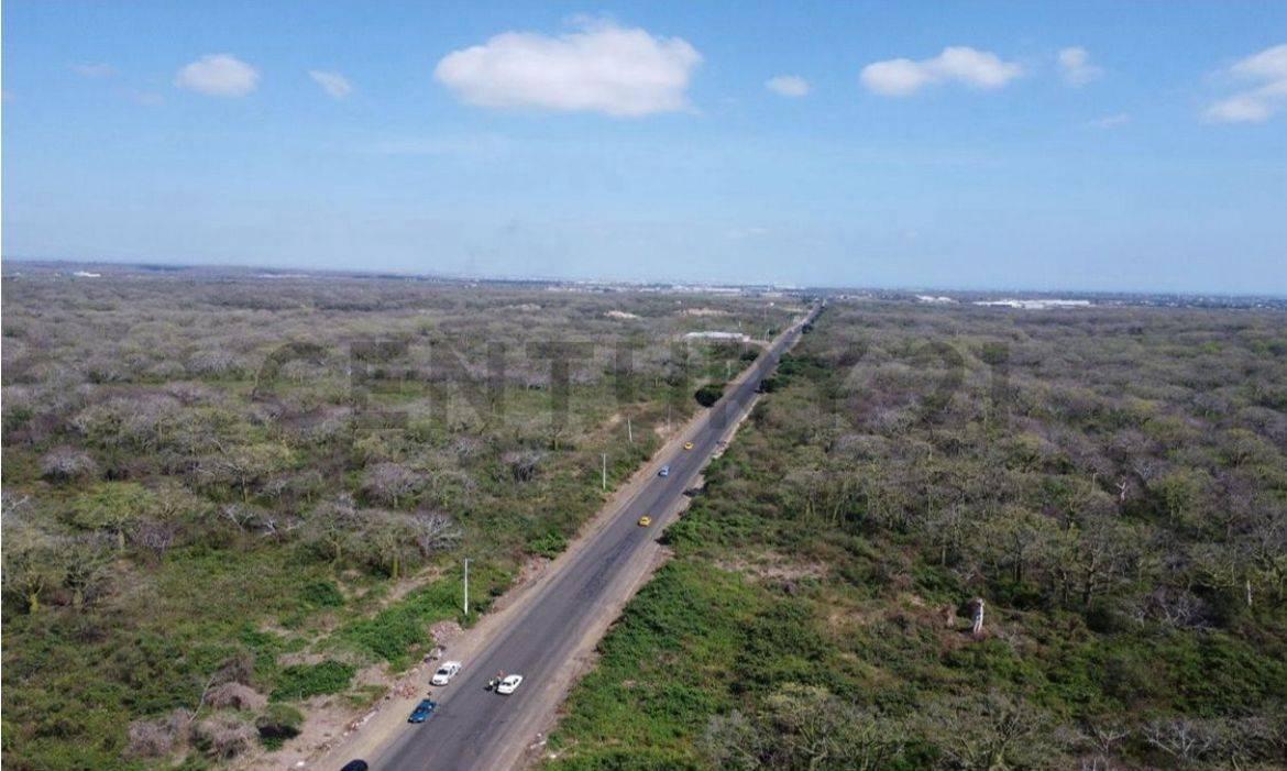 Venta de Terreno Industrial en Zona Atunera - Manta - Jaramijo, Manabí — imagen 5