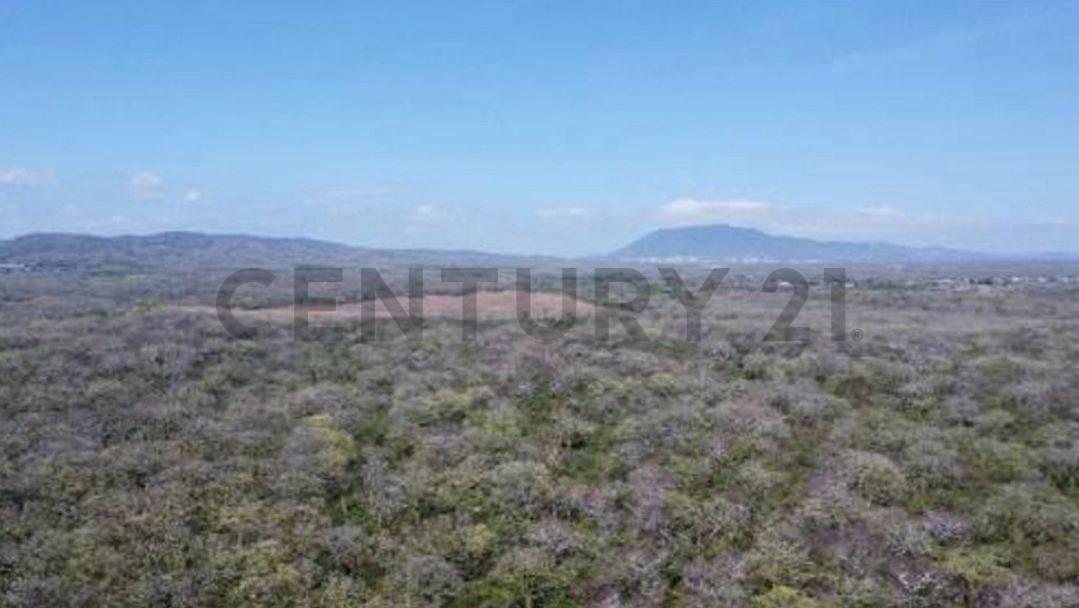 Venta de Terreno Industrial en Zona Atunera - Manta - Jaramijo, Manabí — imagen 4