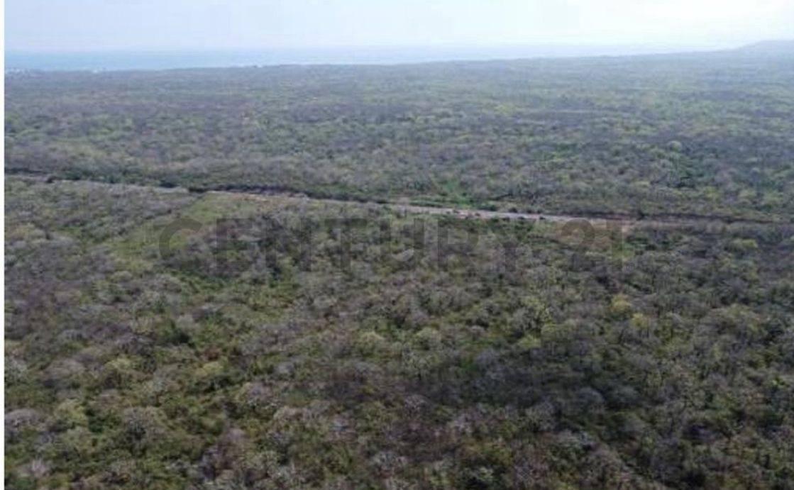 Venta de Terreno Industrial en Zona Atunera - Manta - Jaramijo, Manabí — imagen 3