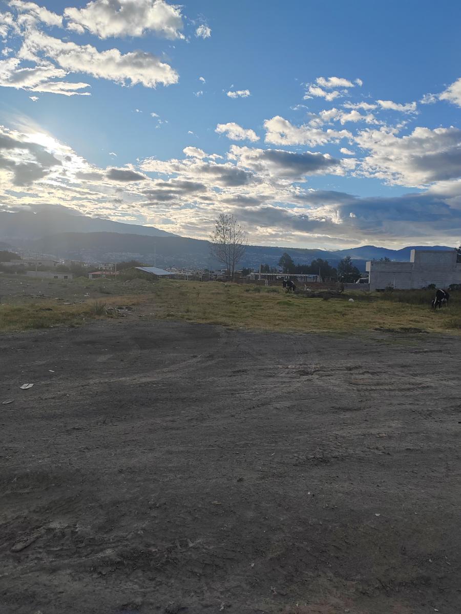 Vendo Terreno Planito en Tumbaco Sector Tola Chica — imagen 9