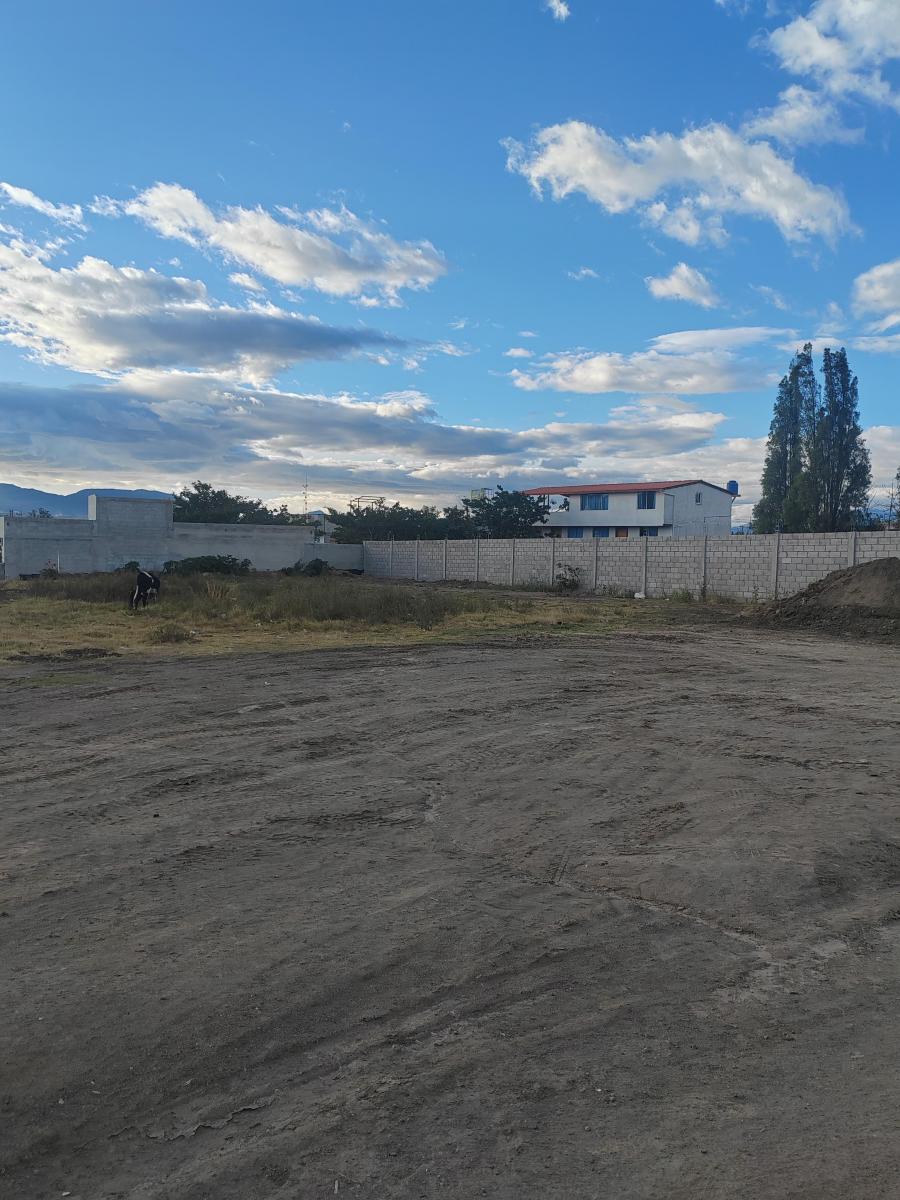 Vendo Terreno Planito en Tumbaco Sector Tola Chica — imagen 6