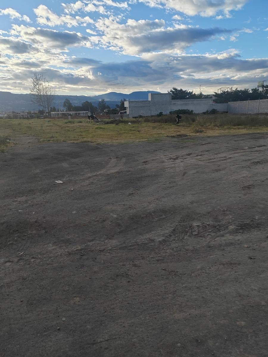 Vendo Terreno Planito en Tumbaco Sector Tola Chica — imagen 5
