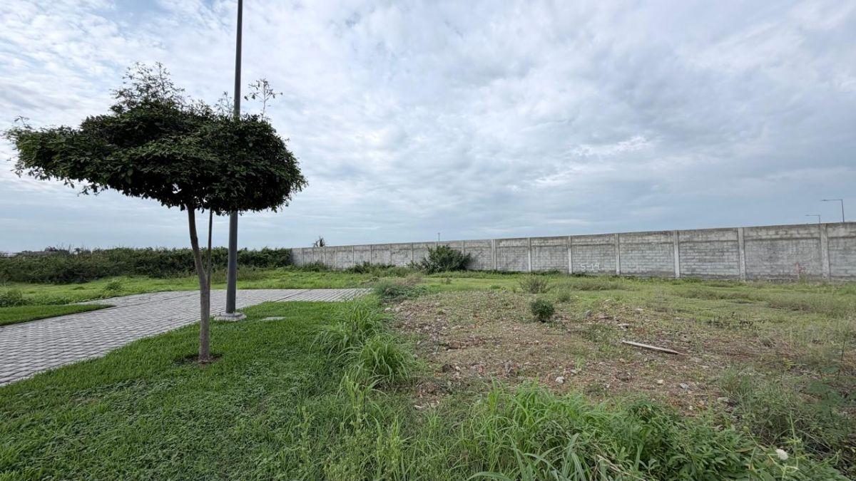 Terreno Esquinero de 452 m² en Venta en Isla Mocoli Samborondón, Guayas — imagen 10