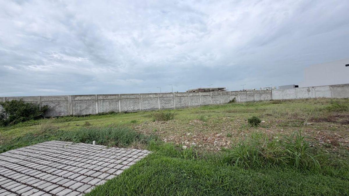 Terreno Esquinero de 452 m² en Venta en Isla Mocoli Samborondón, Guayas — imagen 9