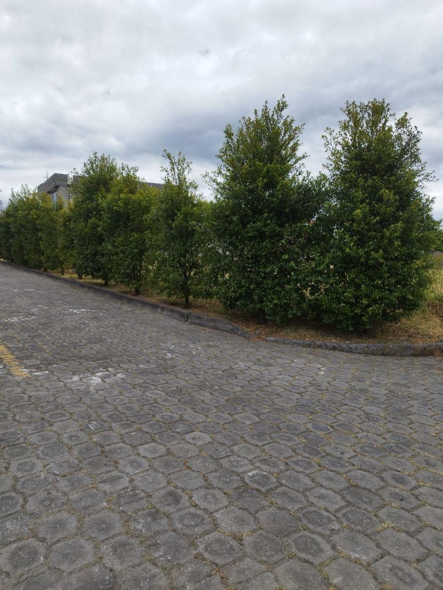 Terreno 892 m² Urbanizacion La Colina Alta, Esquinero, Valle de Los Chillos — imagen 4