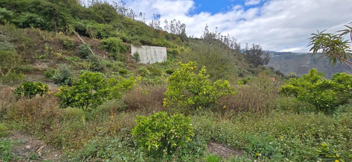 Terreno en Patate, Tungurahua — imagen 7