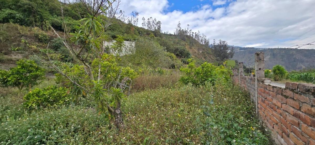 Terreno en Patate, Tungurahua — imagen 6