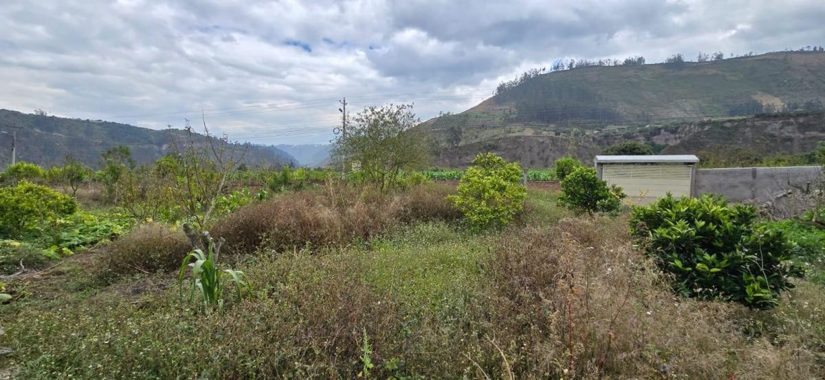 Terreno en Patate, Tungurahua — imagen 5