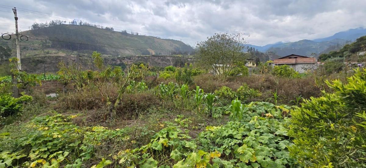 Terreno en Patate, Tungurahua — imagen 4