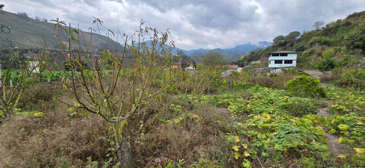 Terreno en Patate, Tungurahua — imagen 3