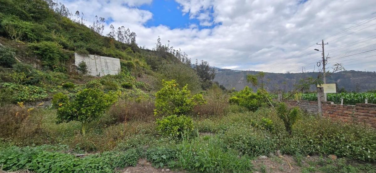 Terreno en Patate, Tungurahua — imagen 2