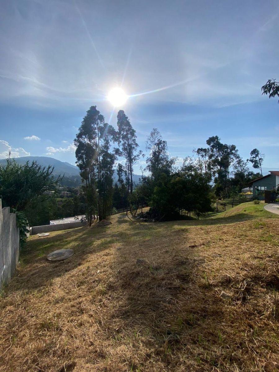 Hermoso Terreno Dentro de Urbanización en Tumbaco — imagen 8
