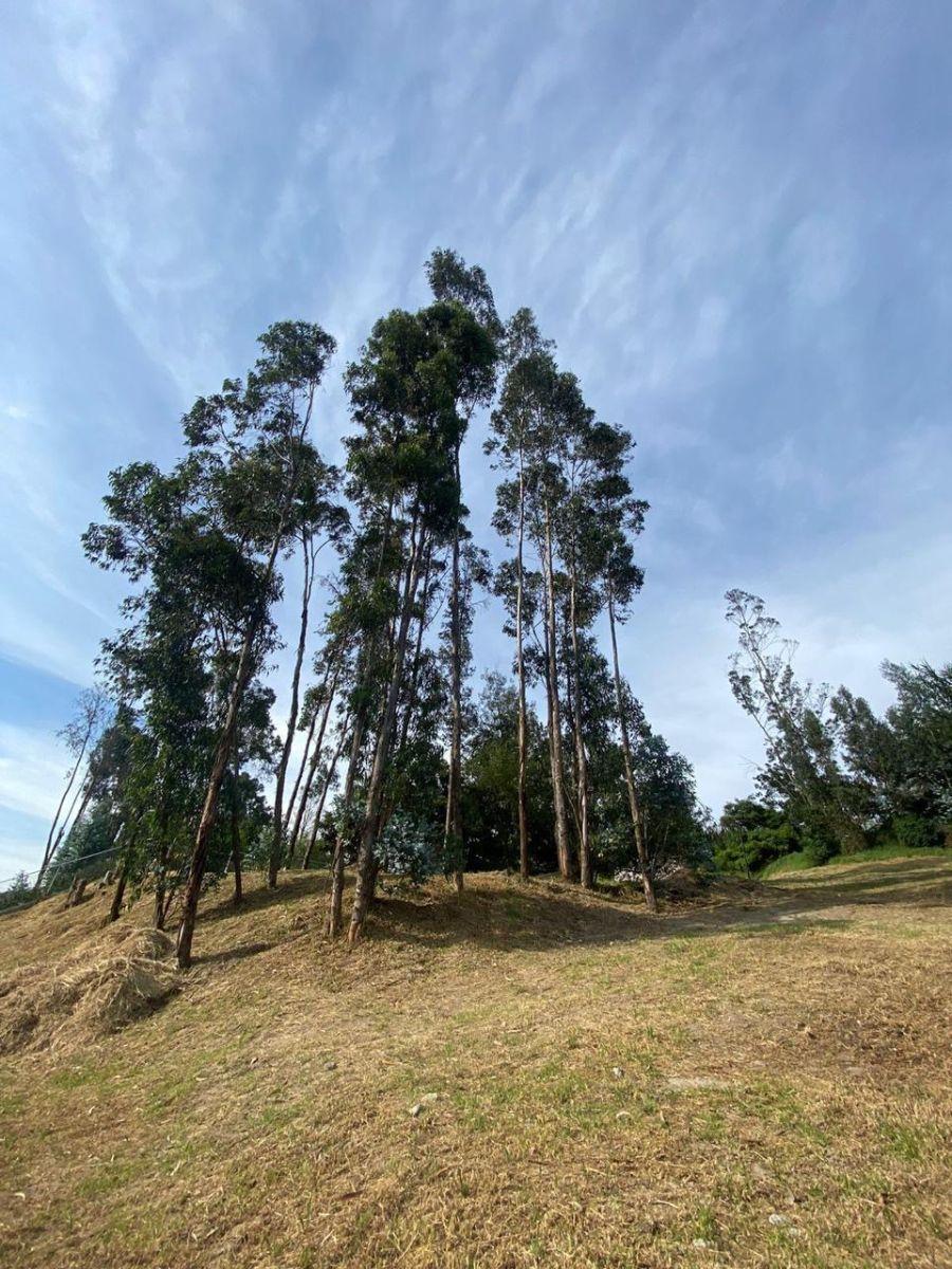Hermoso Terreno Dentro de Urbanización en Tumbaco — imagen 5