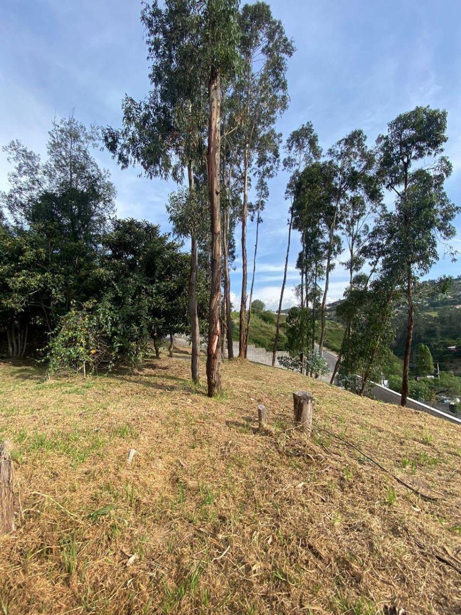 Hermoso Terreno Dentro de Urbanización en Tumbaco — imagen 3