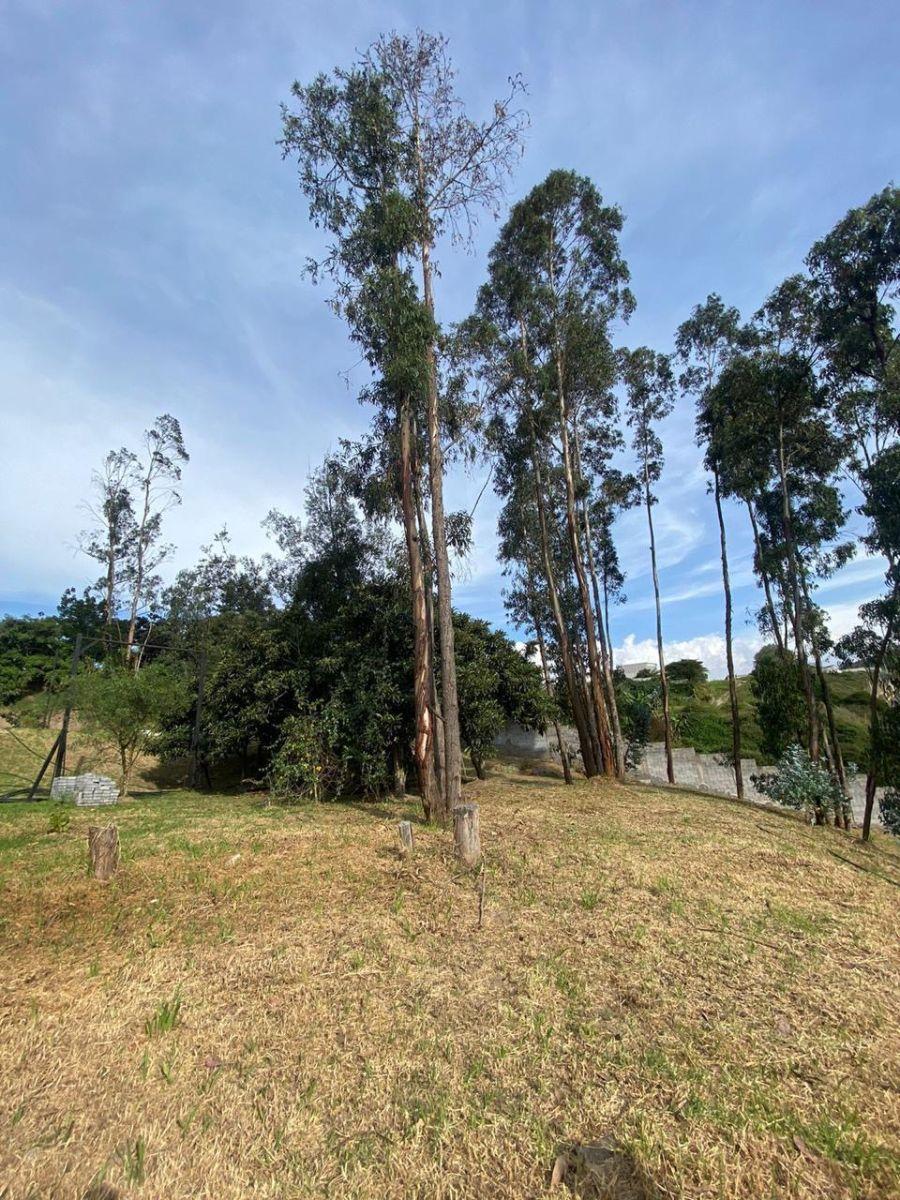 Hermoso Terreno Dentro de Urbanización en Tumbaco — imagen 2