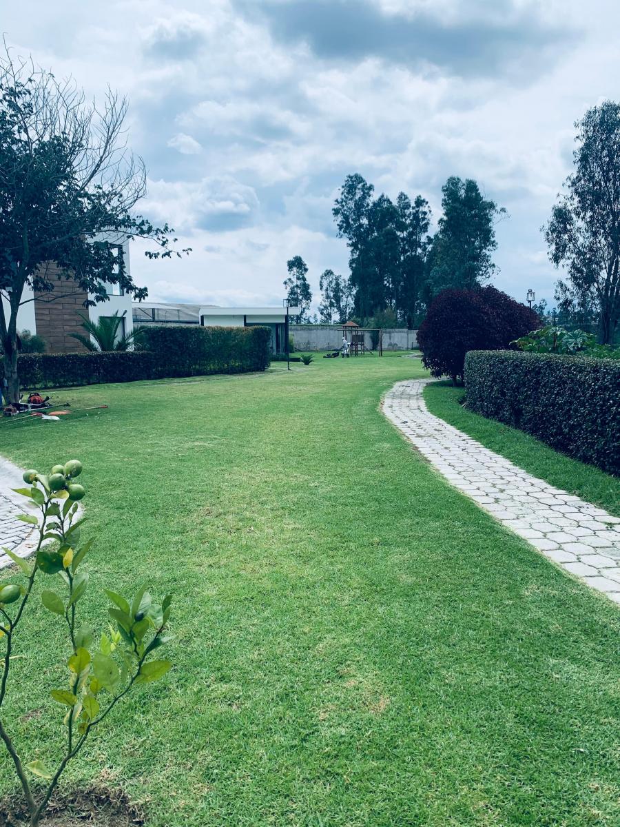Venta Terreno Puembo Urbanizacion Arrayanes — imagen 10