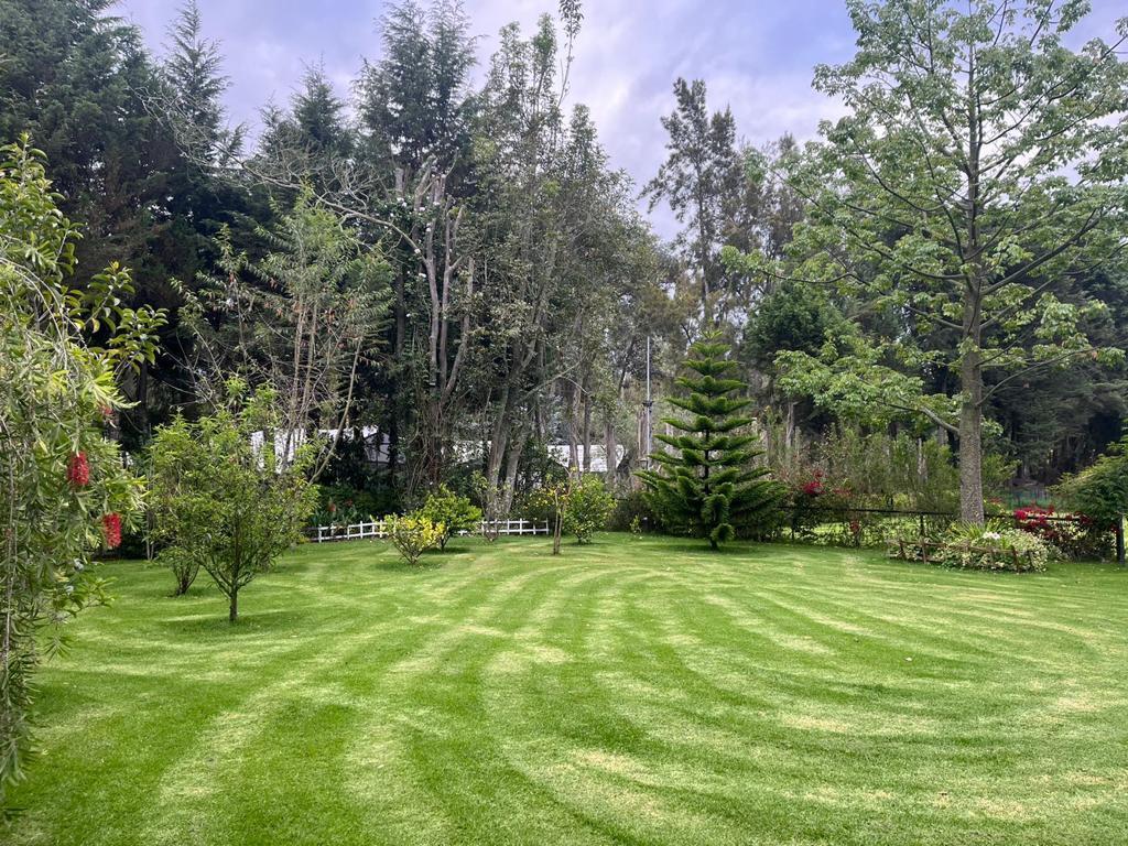 Venta Terreno Puembo Urbanizacion Arrayanes — imagen 9