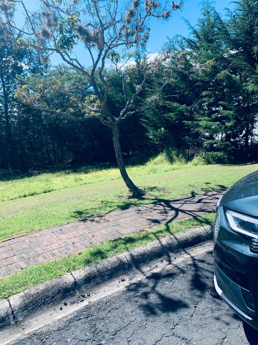 Venta Terreno Puembo Urbanizacion Arrayanes — imagen 7