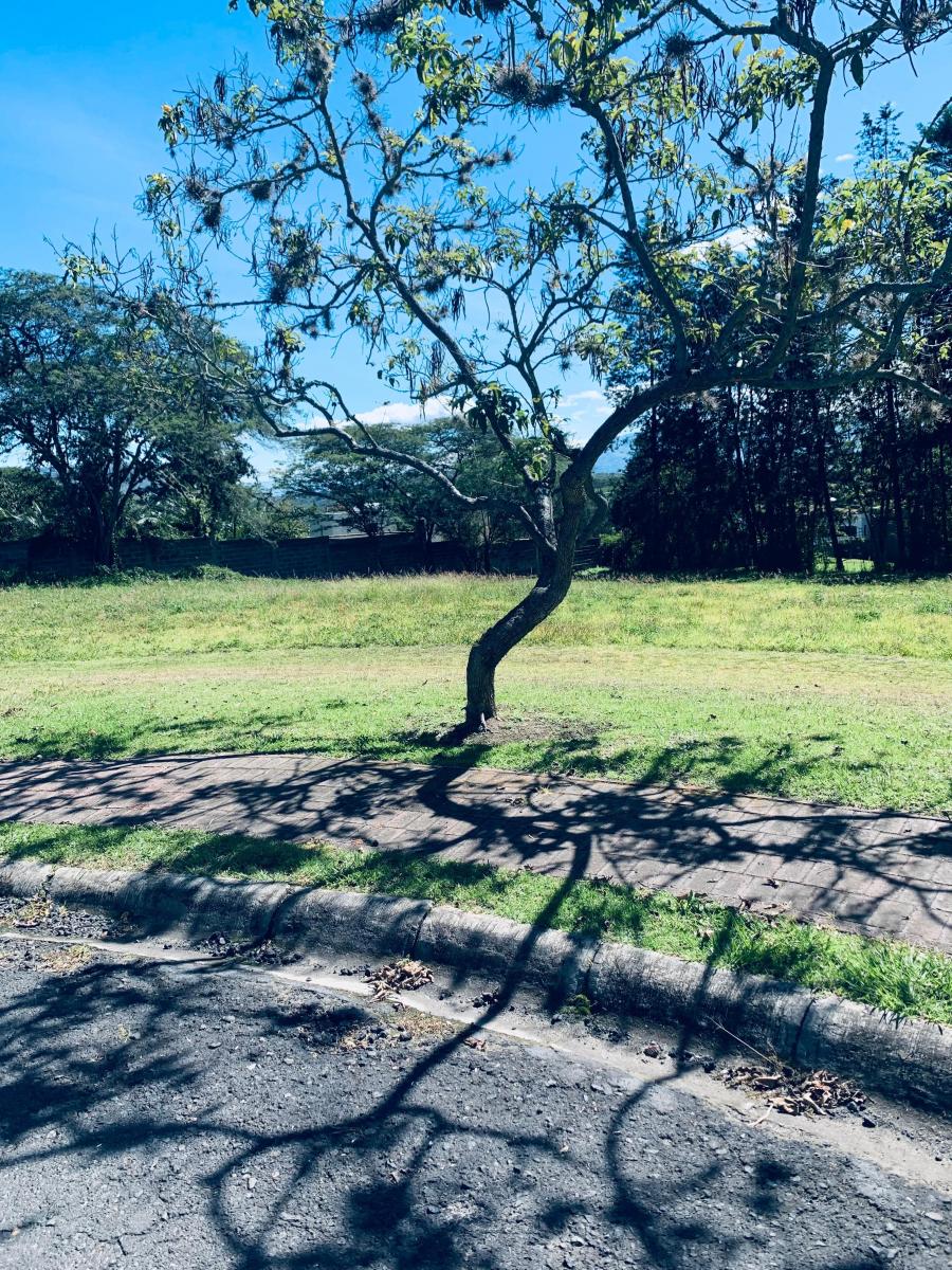 Venta Terreno Puembo Urbanizacion Arrayanes — imagen 6