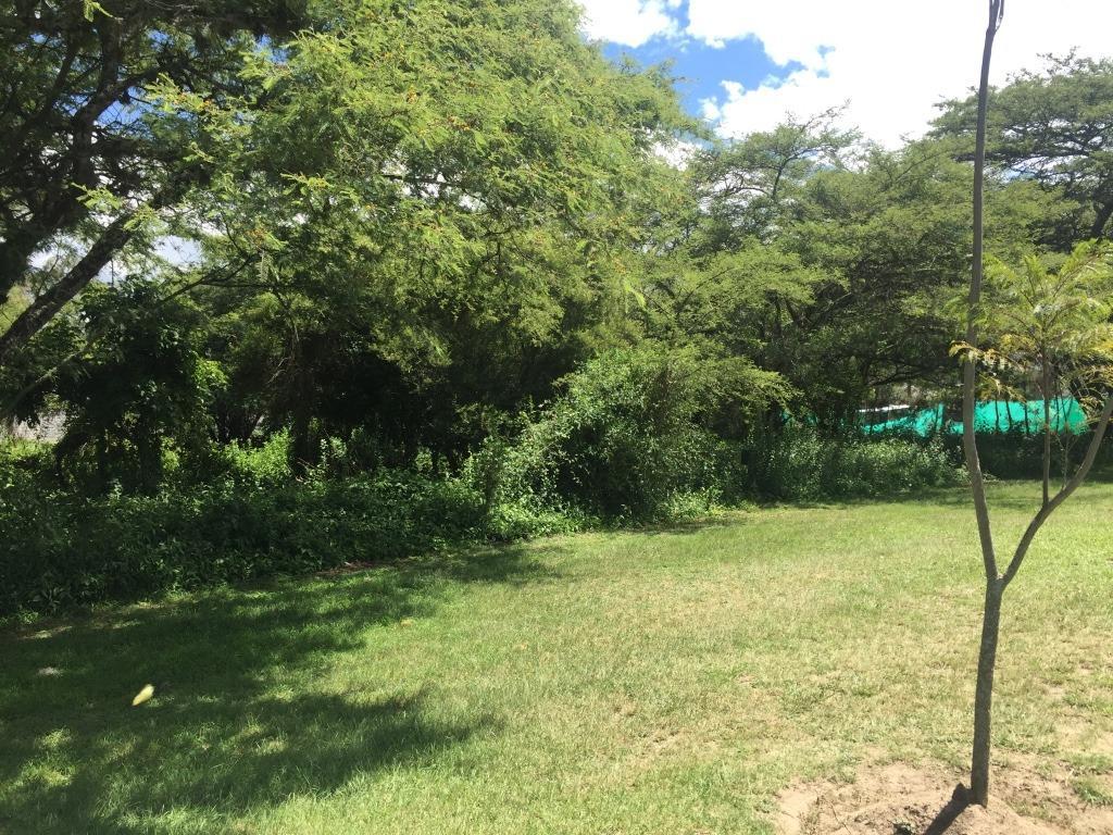 Venta Terreno Puembo Urbanizacion Arrayanes — imagen 3