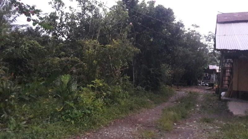 Vendo Quinta - Agricola y Ganadera - Sucumbios - Gonzalo Pizarro — imagen 7