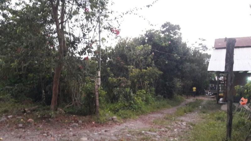Vendo Quinta - Agricola y Ganadera - Sucumbios - Gonzalo Pizarro — imagen 2