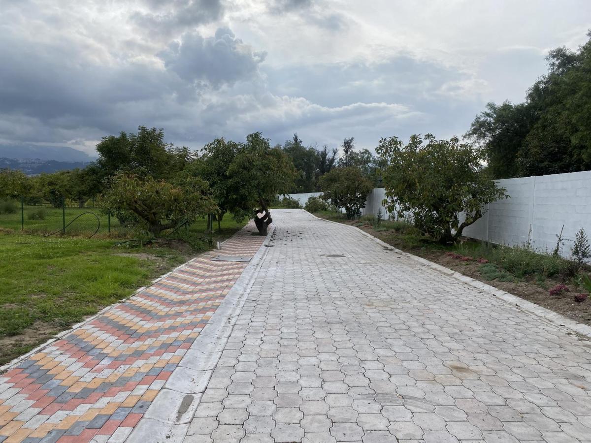 Terrenos de Venta Dentro de Urbanización en Puembo. Espectaculares, Los Mejores de Puembo — imagen 10